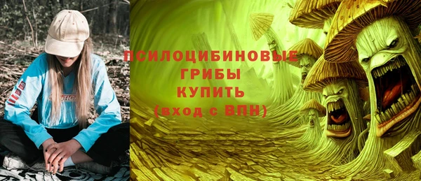 СК Саяногорск