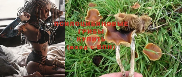 кокаин премиум Белокуриха